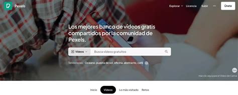 nideos gratis|Banco de Videos Gratis · Videos Sin Copyright · Pexels Videos.